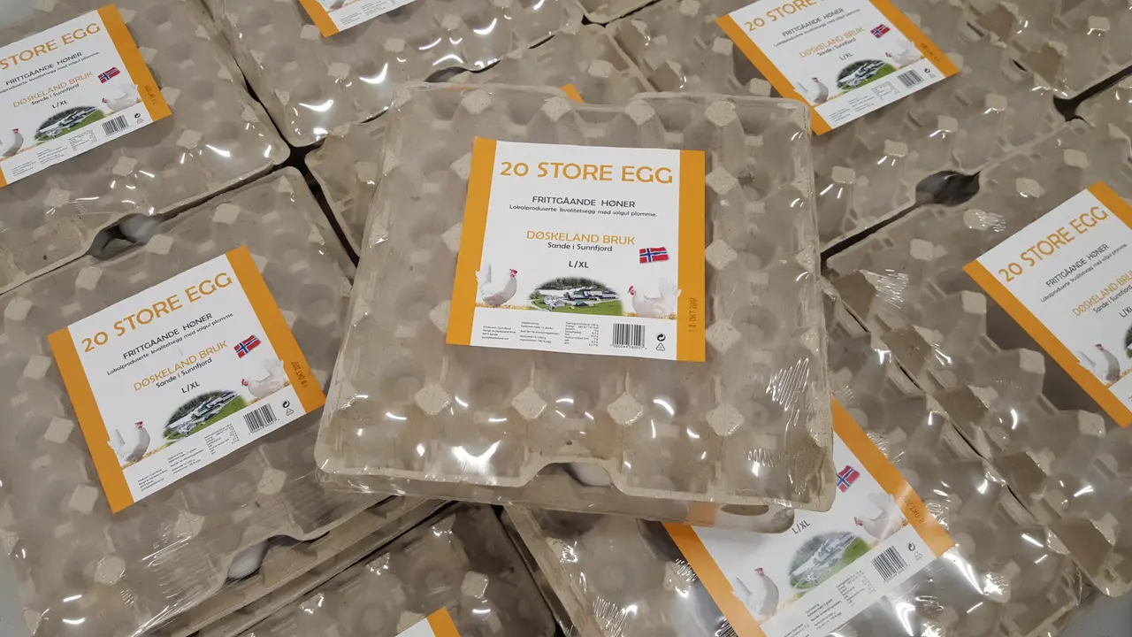 Kartonger med 20 store egg fra Døskeland Bruk