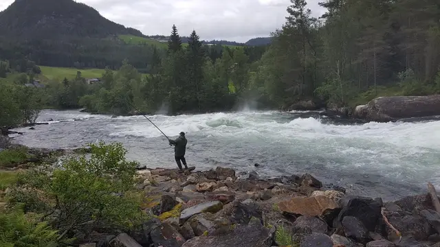 Fiske i stryket