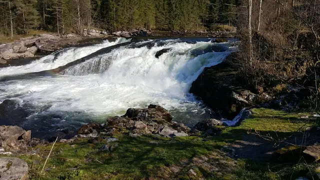 Fossen i Gaula