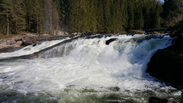 Kvitt vatn i Gaula