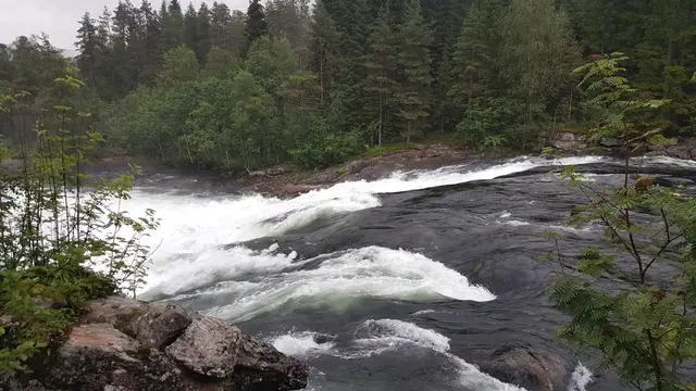 Stryk i Gaula