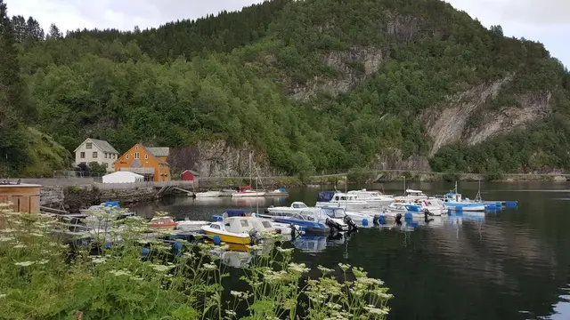 Småbåthamn i nærområdet