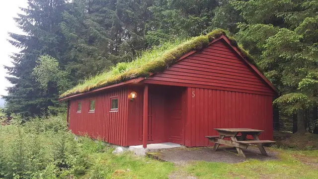 Red cabin with turf roof