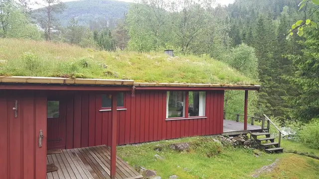 Cabin with terrace