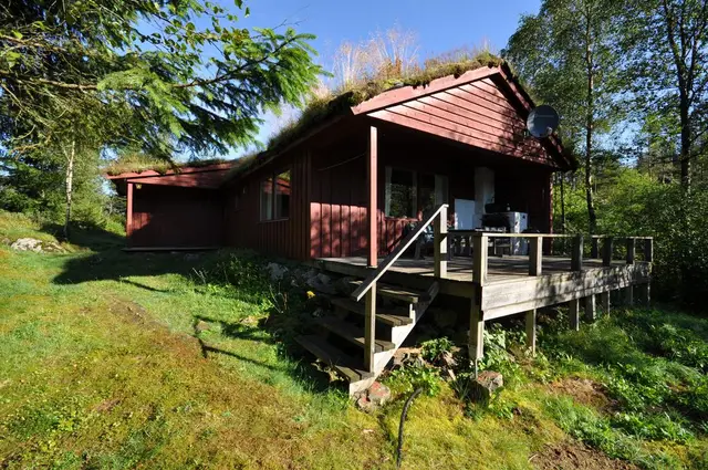 Cabin with veranda in the forest