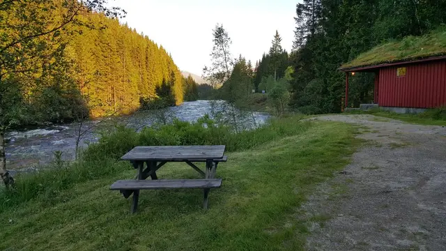 Bench by the river