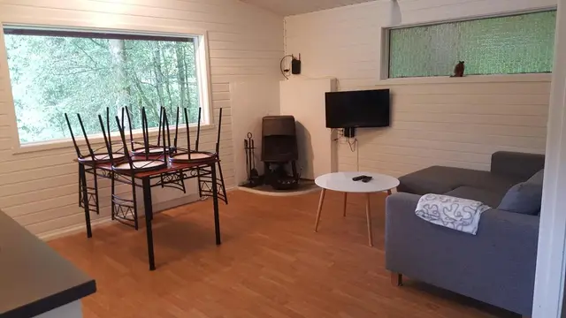 Cabin living room